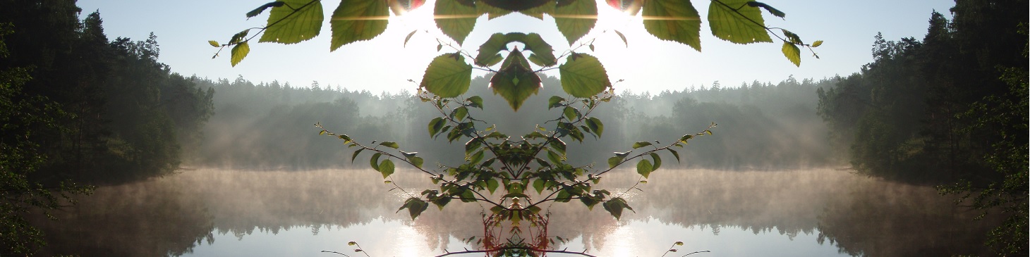 Ждем ваших отчетов и публикаций!