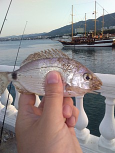 Ласкирь. Геленджик, центральный причал.